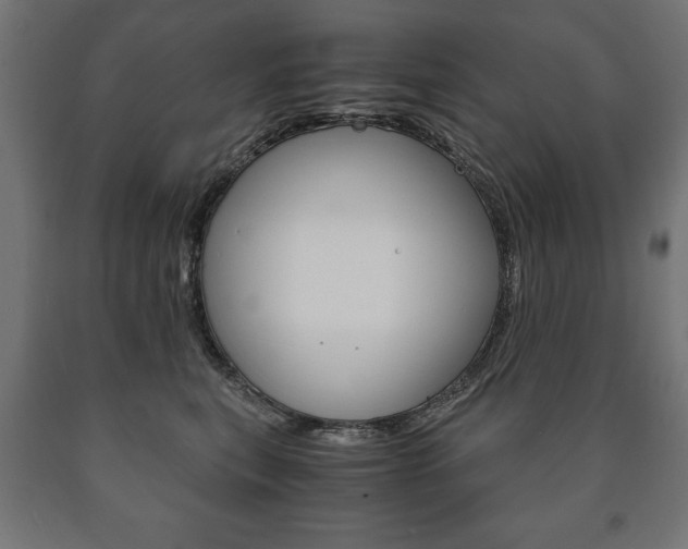 X0000090990567200708021206