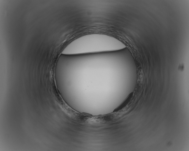 X0000090990568200708021206