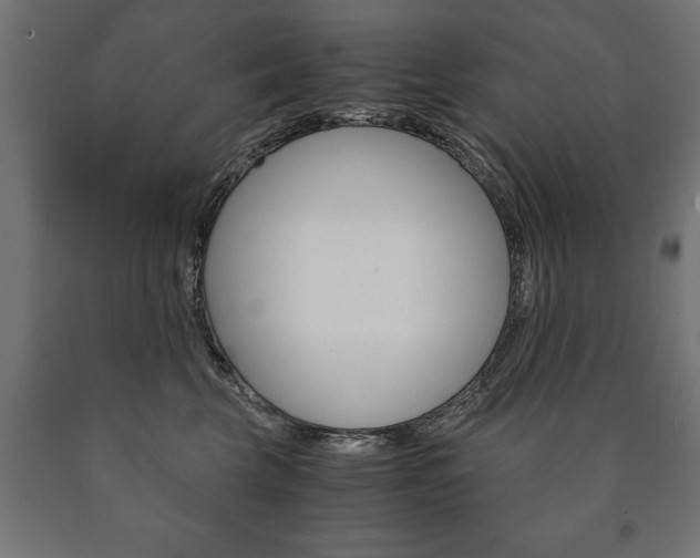 X0000090990569200708021206