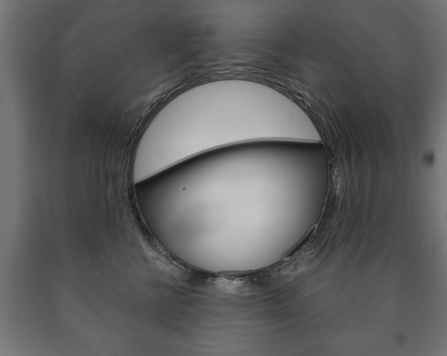 X0000090990570200708021206