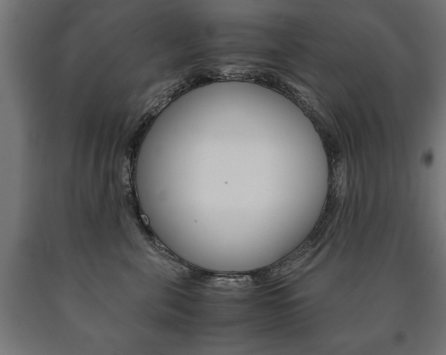 X0000090990571200708021206