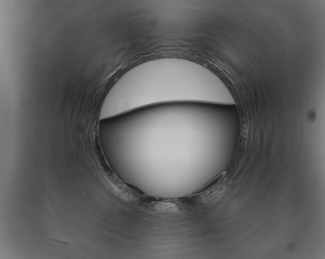X0000090990572200708021206