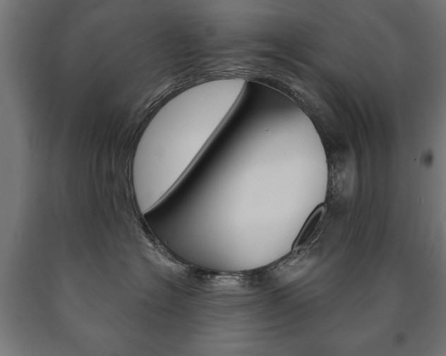 X0000090990574200708021206
