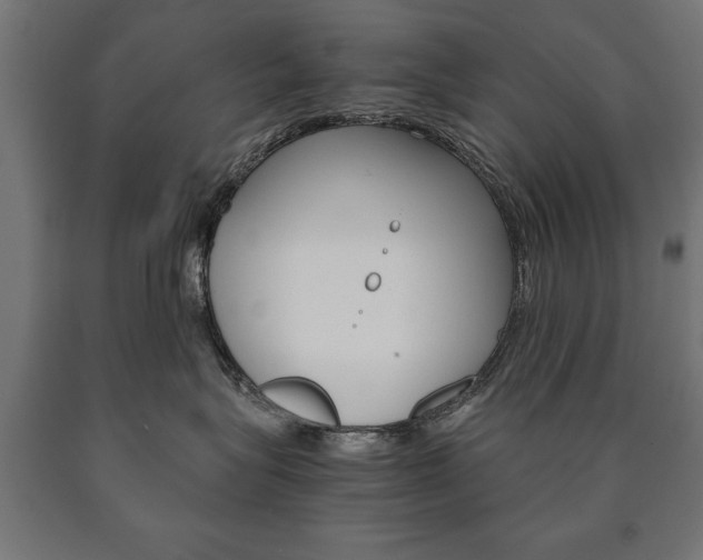 X0000090990575200708021206