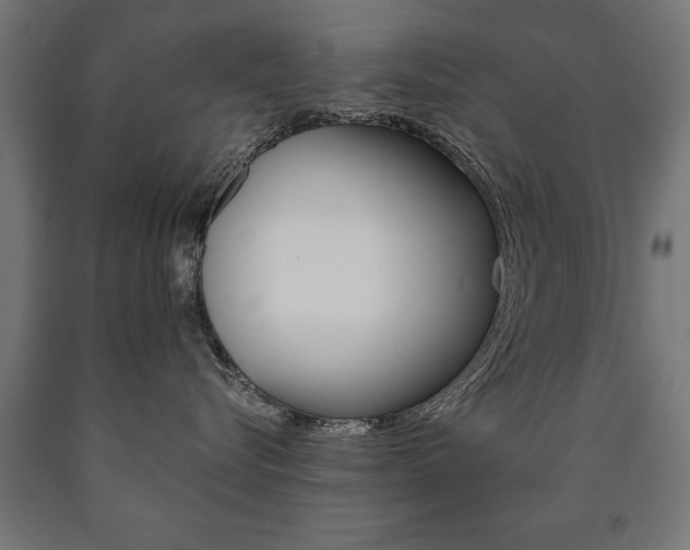 X0000090990576200708021206