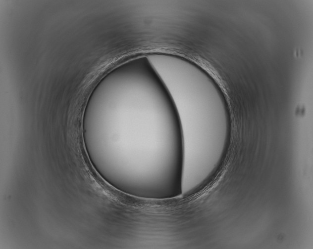 X0000090990577200708021206