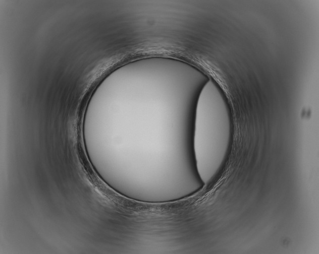 X0000090990578200708021206