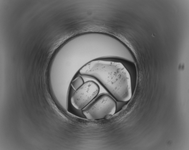 X0000090990581200708021206