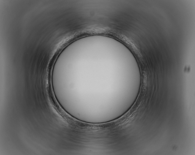X0000090990582200708021206