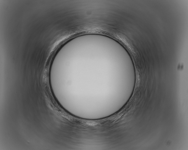 X0000090990583200708021206