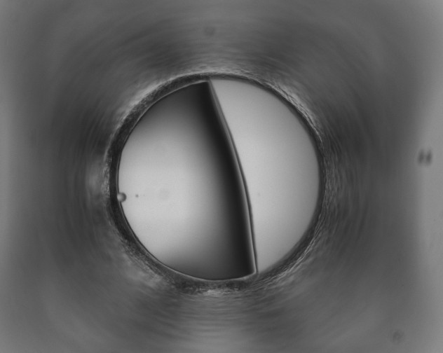 X0000090990584200708021205