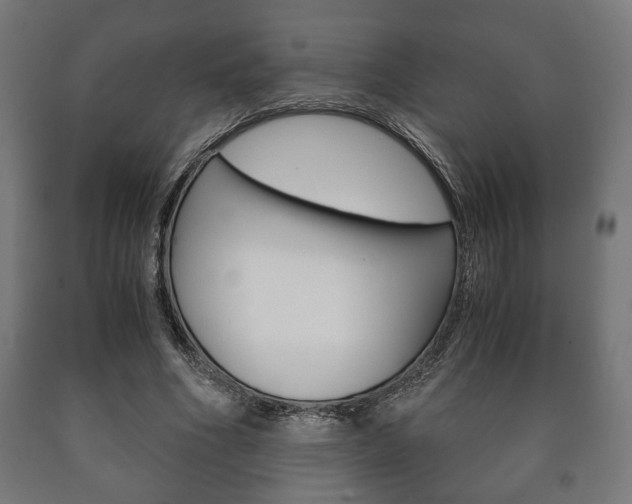 X0000090990586200708021205