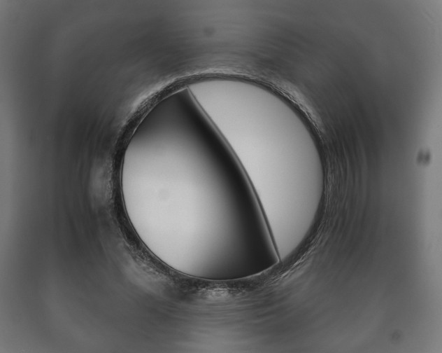 X0000090990588200708021205