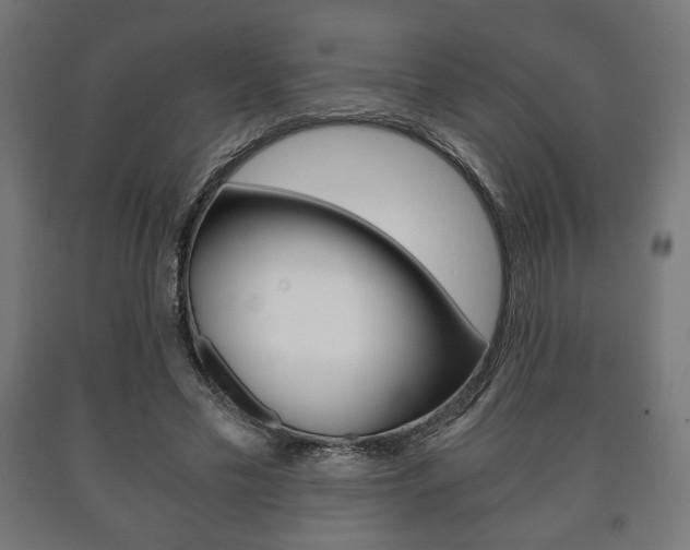 X0000090990589200708021205