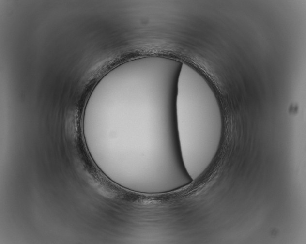 X0000090990590200708021205