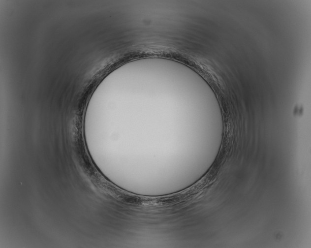 X0000090990591200708021205