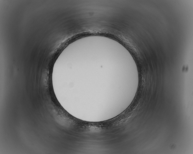 X0000090990592200708021205