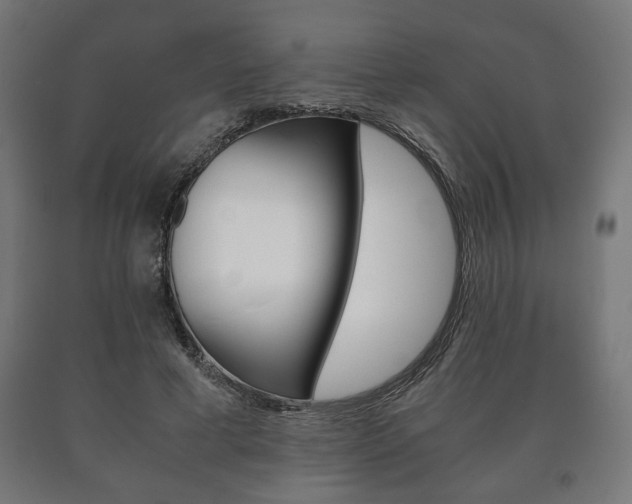 X0000090990593200708021205