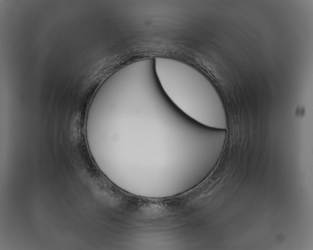 X0000090990594200708021205