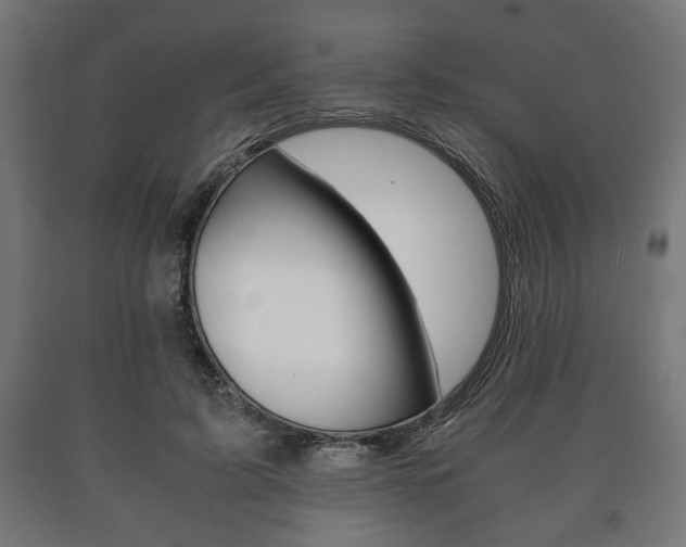X0000090990595200708021205