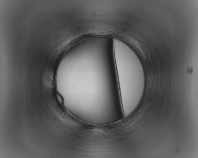 X0000090990596200708021205
