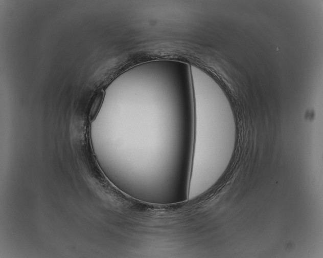 X0000090990597200708021205