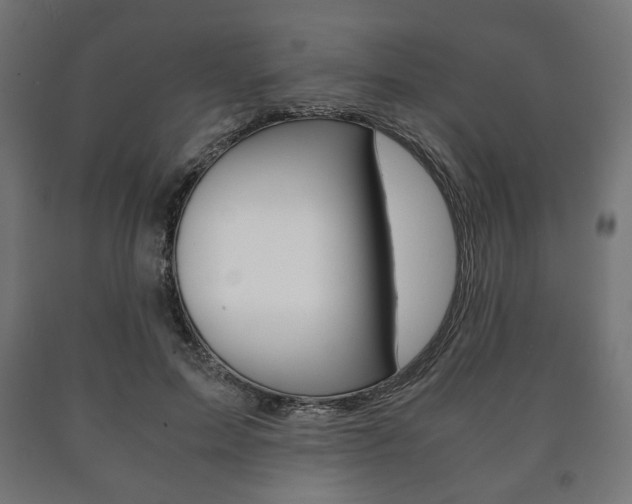 X0000090990599200708021205