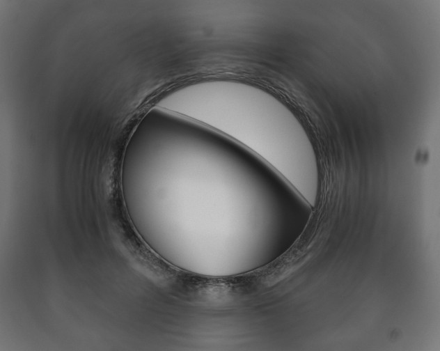 X0000090990600200708021205
