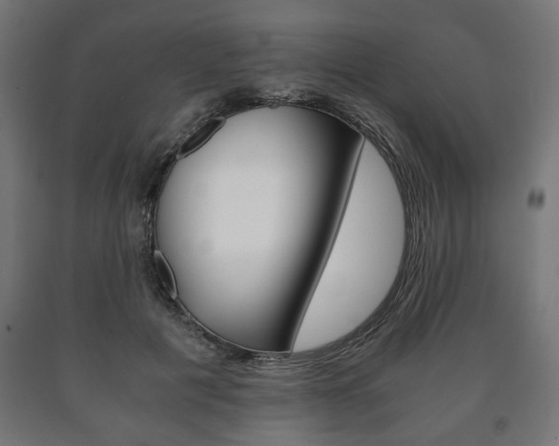 X0000090990601200708021205