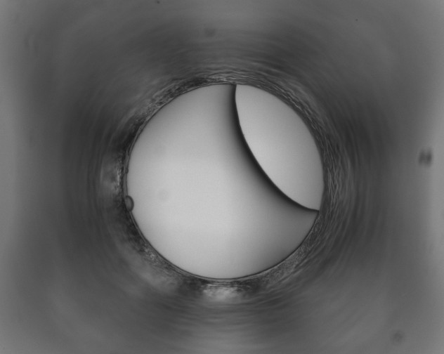 X0000090990602200708021205