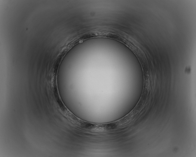 X0000090990604200708021205