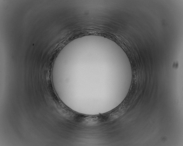 X0000090990606200708021205