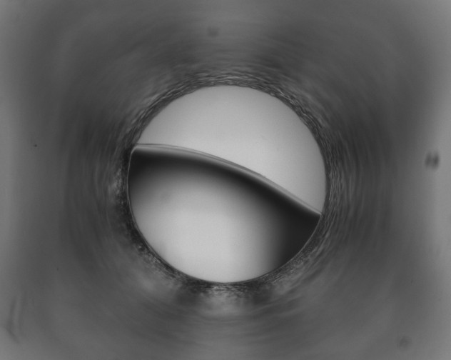 X0000090990608200708021205