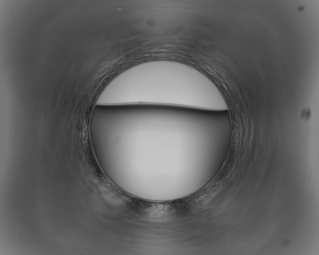 X0000090990609200708021205