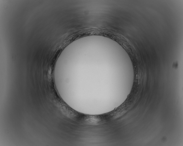 X0000090990610200708021205