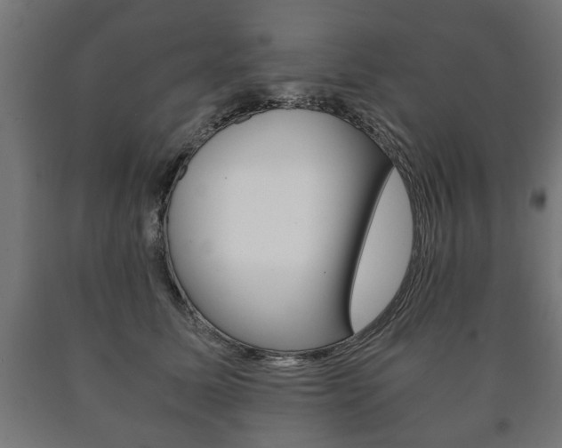 X0000090990611200708021205