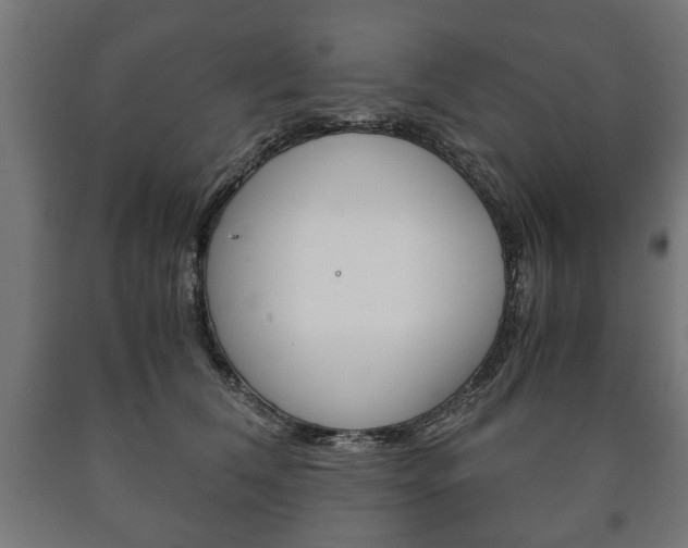 X0000090990612200708021205