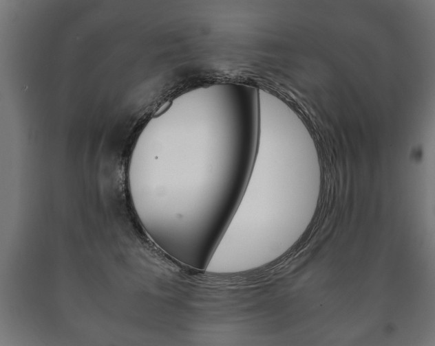 X0000090990613200708021205