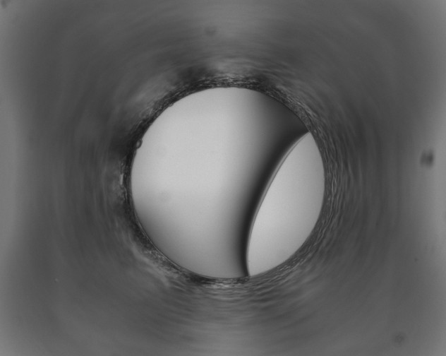 X0000090990615200708021205