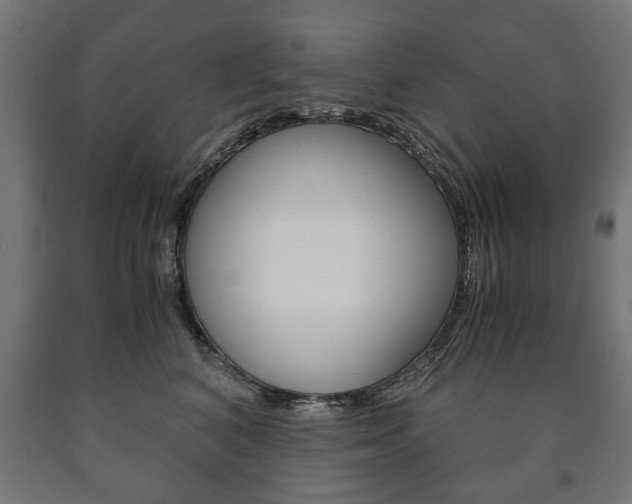 X0000090990616200708021205