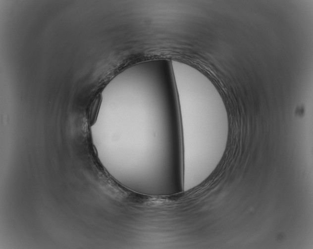 X0000090990617200708021205