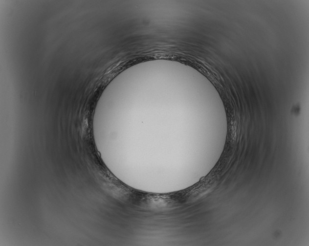 X0000090990618200708021205