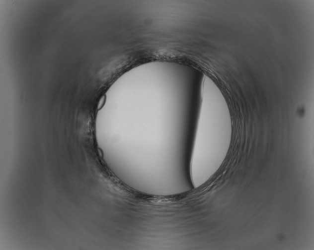 X0000090990619200708021205