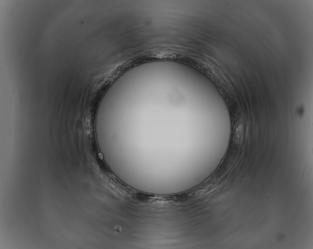 X0000090990620200708021205