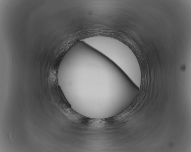 X0000090990621200708021205