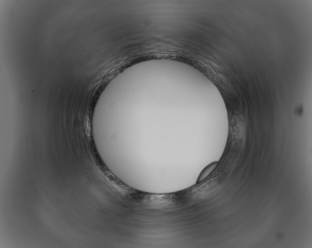 X0000090990622200708021205