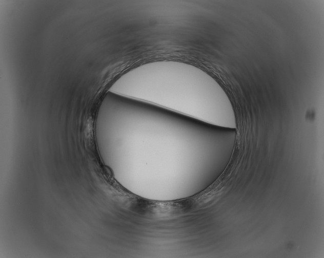 X0000090990623200708021205