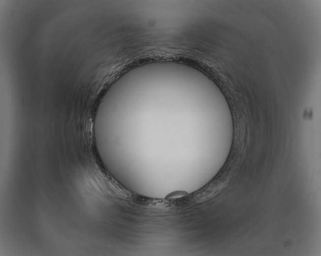 X0000090990624200708021205