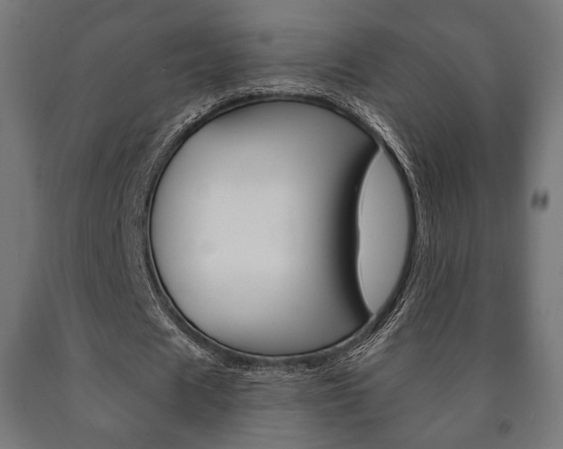 X0000090990625200708021204