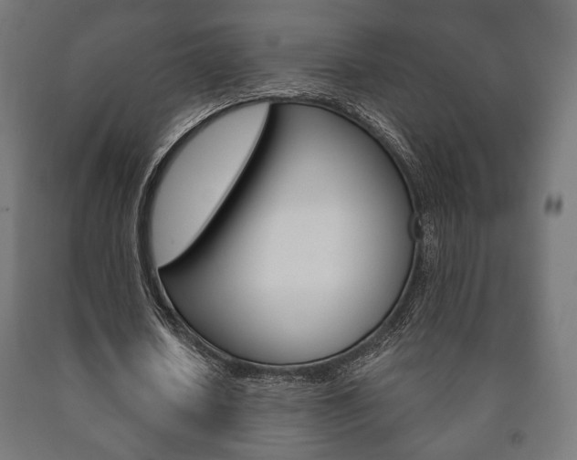 X0000090990626200708021204
